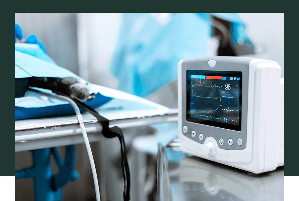 Heart Monitor Gradient