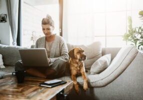 Dog On Couch Next To Owner With Laptop On Lap