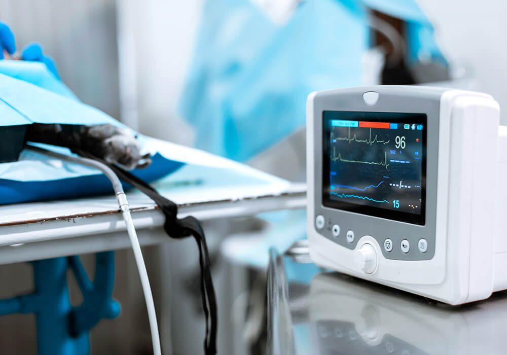 Heart Monitor Eqiupment